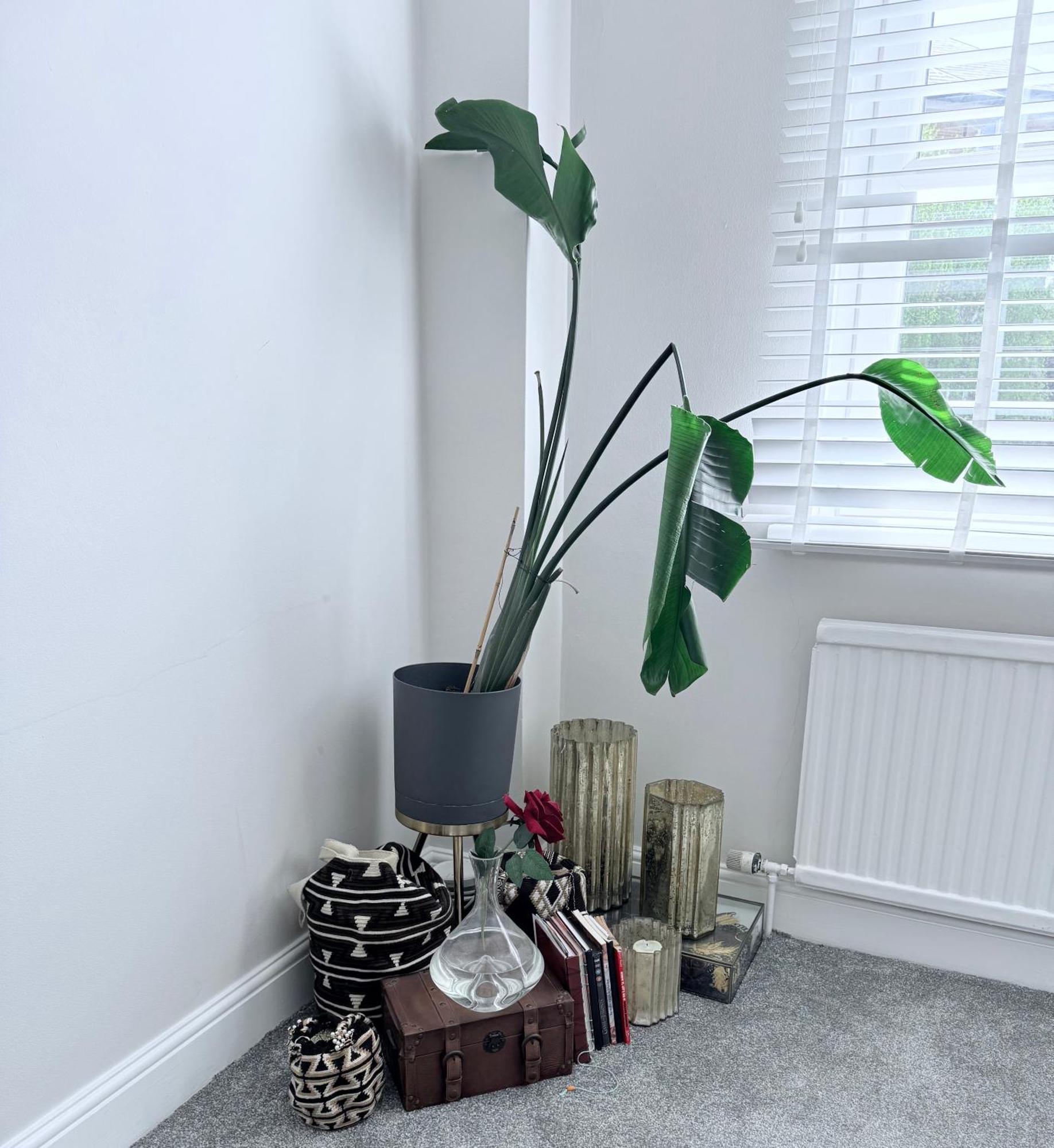 Bright And Modern Flat Near Portobello Road And The Canal Londra Dış mekan fotoğraf